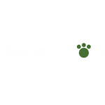  Value Imports