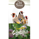 Deli Nature Aves Cultura Carduelis Goldfinches