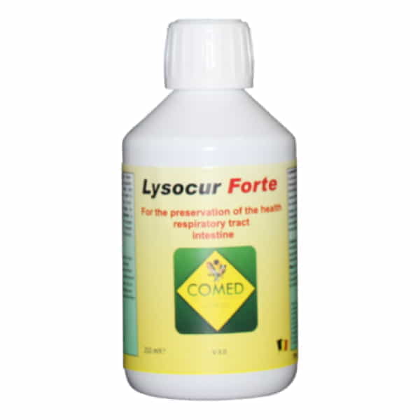 COMED Lysocur Forte