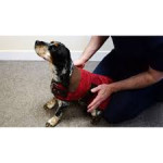 HAPPY PET GO WALK WINDSOR CLASSIC COAT RED 40.5CM