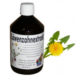 Hungenberg Löwenzahnextrakt Εκχύλισμα πικραλίδας 100ml