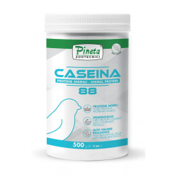 PINETA Πρωτεϊνη CASEINA 88%, 500g