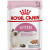 Royal Canin Kitten Πατέ