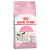 ROYAL CANIN BABYCAT