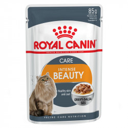 ROYAL CANIN INTENSE BEAUTY IN GRAVY