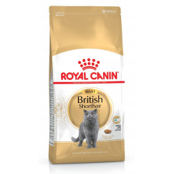 ROYAL CANIN BRITISH SHORTHAIR