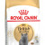 ROYAL CANIN BRITISH SHORTHAIR