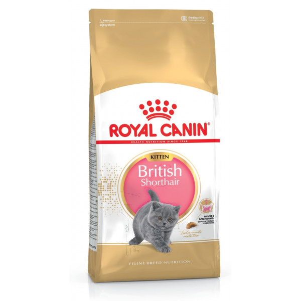 ROYAL CANIN KITTEN BRITISH SHORTHAIR 2KG