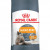 ROYAL CANIN HAIR & SKIN