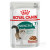 ROYAL CANIN INSTICTIVE +7 IN GRAVY 85gr