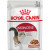 ROYAL CANIN ADULT INSTICTIVE IN GRAVY