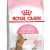 Royal Canin Kitten Second Age Sterilised