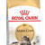 ROYAL CANIN MAIN COON