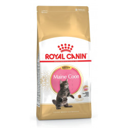 ROYAL CANIN KITTEN MAIN COON