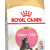 ROYAL CANIN KITTEN MAIN COON