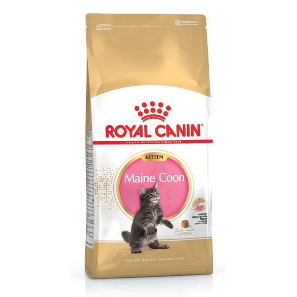 ROYAL CANIN KITTEN MAIN COON