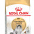 ROYAL CANIN NORWEGIAN forest cat