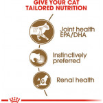 ROYAL CANIN AGEING +12 IN JELLY