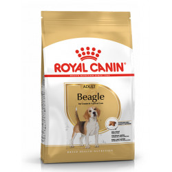 ROYAL CANIN BEAGLE Adult