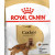 ROYAL CANIN COCKER Adult