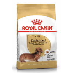 ROYAL CANIN DACHSHUND Adult