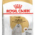 ROYAL CANIN MALTESE Adult