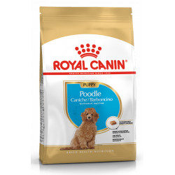 ROYAL CANIN POODLE PUPPY