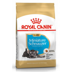 ROYAL CANIN SCHNAUZER PUPPY