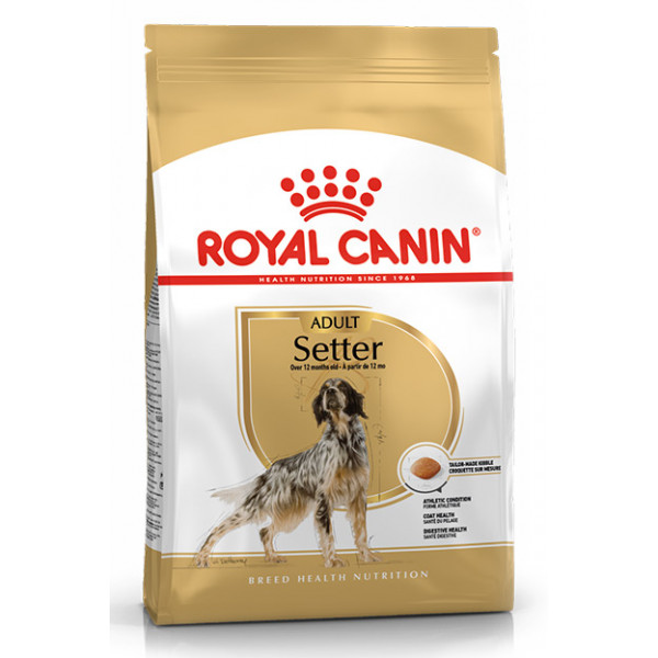 ROYAL CANIN SETTER Adult