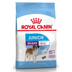 ROYAL CANIN GIANT JUNIOR