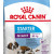 ROYAL CANIN GIANT STARTER