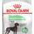 ROYAL CANIN MAXI DIGESTIVE CARE