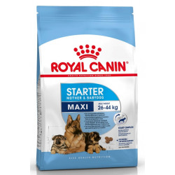 ROYAL CANIN MAXI STARTER