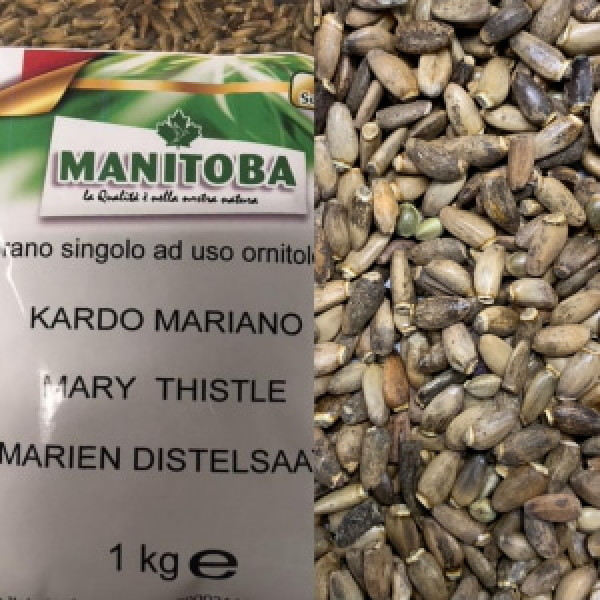 MANITOBA Cardo Mariano (Γαϊδουράγκαθο) -1kg