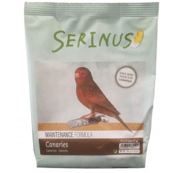 Serinus Maintenance Canaries