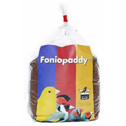 FONIOPADDY χύμα