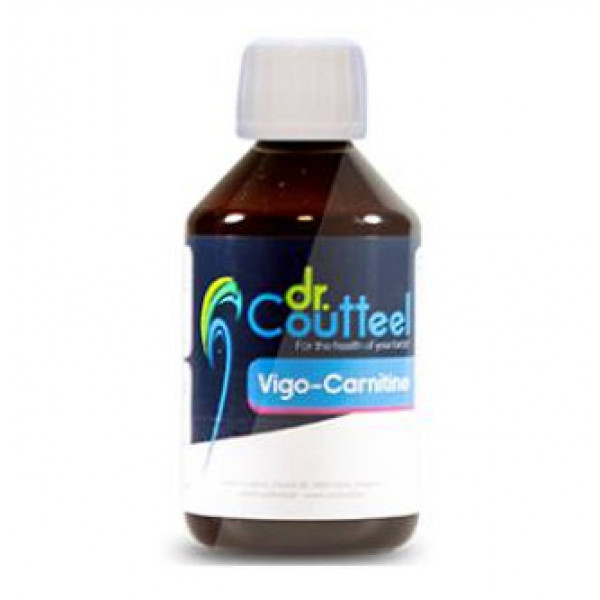 Dr. COUTTEEL Vigo Carnitine 250ml