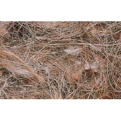 AV12 100  Νήμα Φωλιάς Sisal Fibre Mixed Animal Vegetable