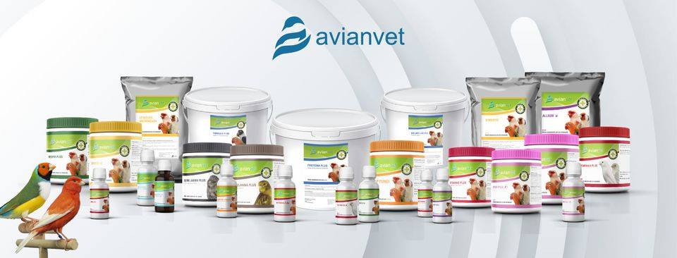 avianvet